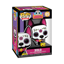 Load image into Gallery viewer, Dia De Los Muertos: Xolo Pop Vinyl
